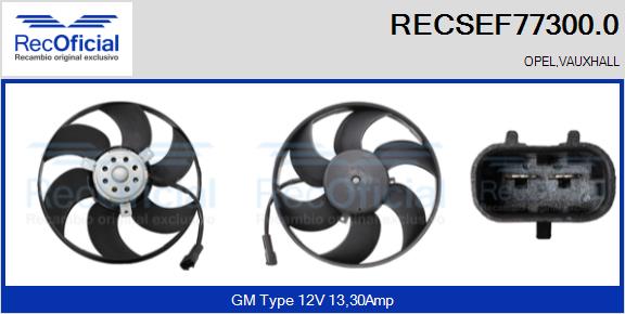 RECSEF77300.0