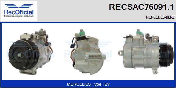 RECSAC76091.1