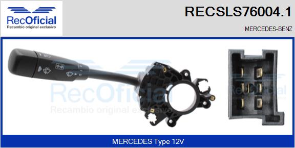 RECSLS76004.1