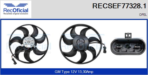 RECSEF77328.1
