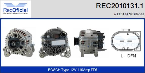 REC2010131.1
