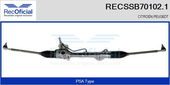 RECSSB70102.1