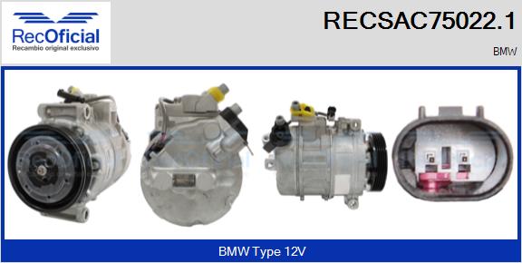 RECSAC75022.1