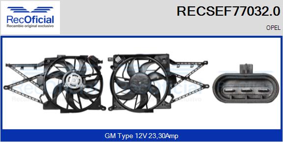 RECSEF77032.0