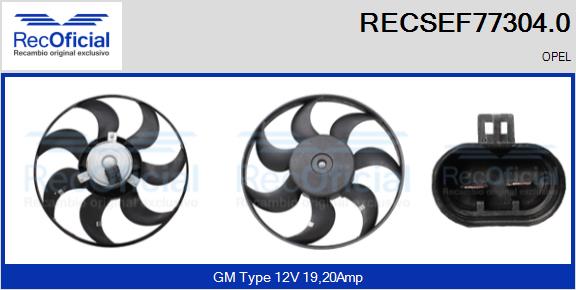 RECSEF77304.0