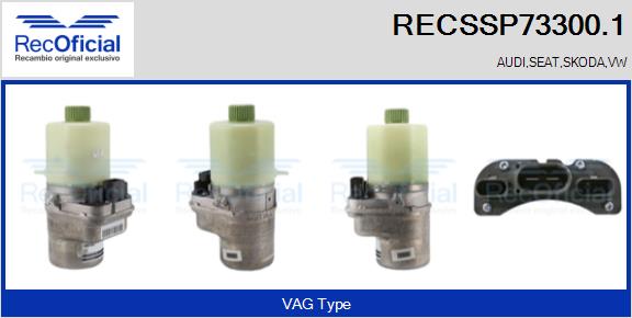 RECSSP73300.1