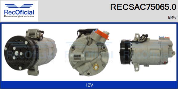 RECSAC75065.0