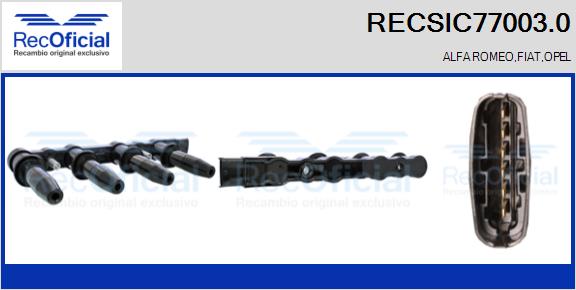 RECSIC77003.0