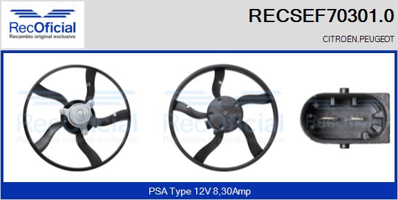 RECSEF70301.0