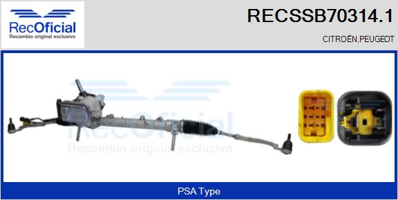 RECSSB70314.1