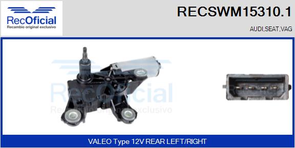 RECSWM15310.1