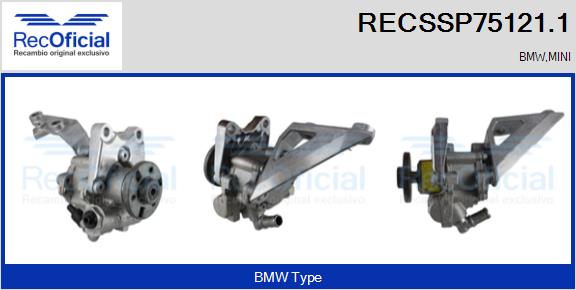 RECSSP75121.1