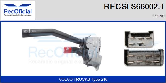 RECSLS66002.1