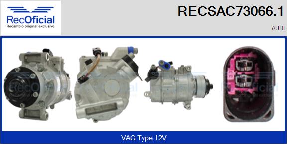 RECSAC73066.1