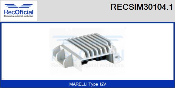 RECSIM30104.1