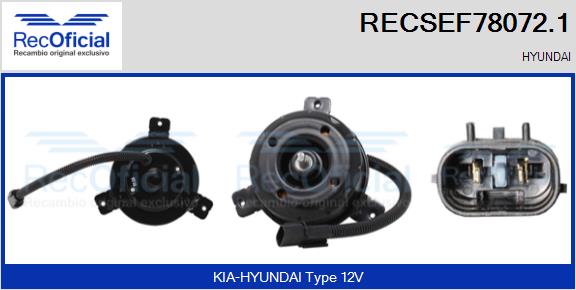 RECSEF78072.1