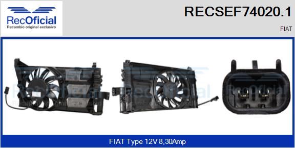 RECSEF74020.1