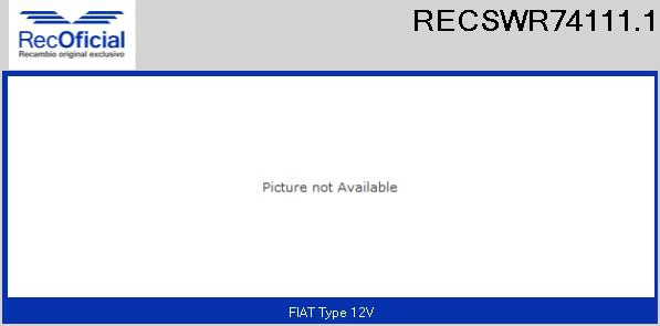 RECSWR74111.1