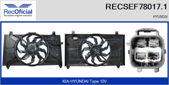 RECSEF78017.1