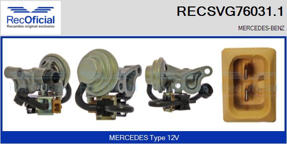 RECSVG76031.1
