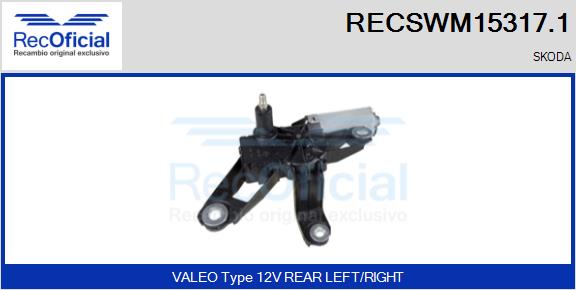 RECSWM15317.1