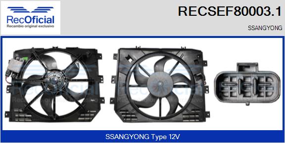 RECSEF80003.1
