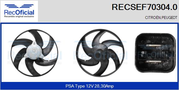 RECSEF70304.0