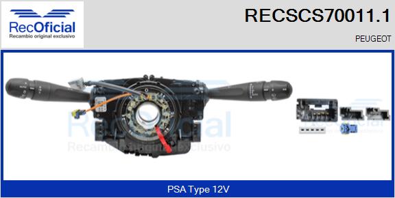 RECSCS70011.1