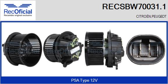 RECSBW70031.1