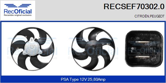 RECSEF70302.0