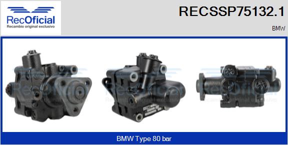 RECSSP75132.1