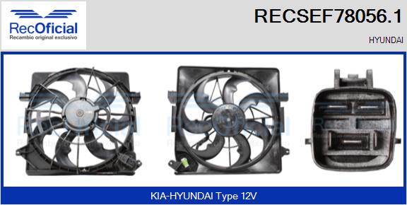 RECSEF78056.1