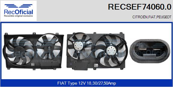 RECSEF74060.0