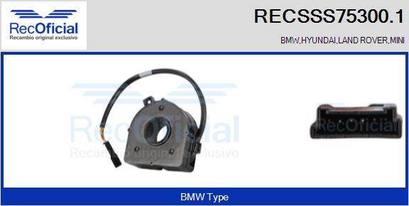 RECSSS75300.1