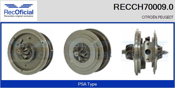 RECCH70009.0