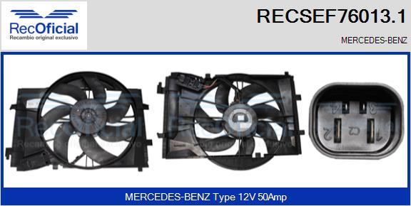 RECSEF76013.1