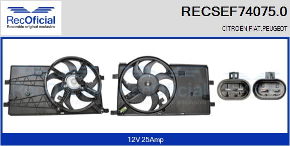 RECSEF74075.0
