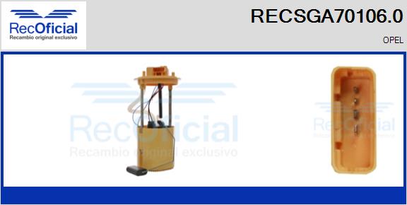 RECSGA70106.0