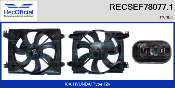 RECSEF78077.1