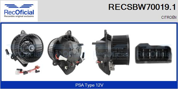 RECSBW70019.1