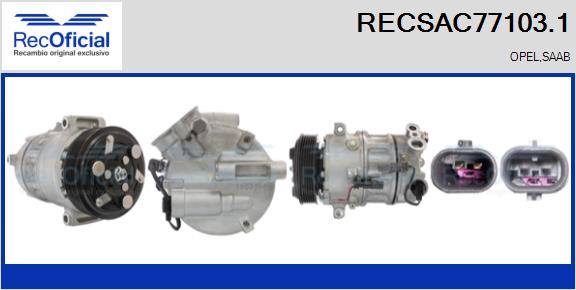 RECSAC77103.1