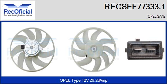 RECSEF77333.1