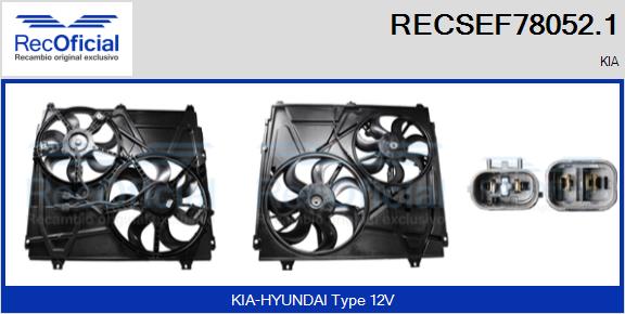 RECSEF78052.1