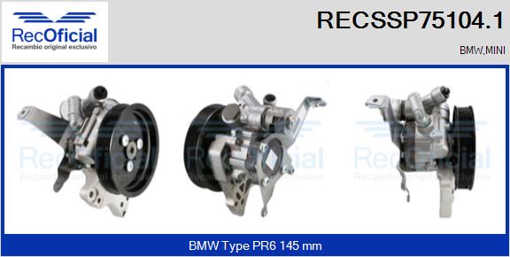RECSSP75104.1