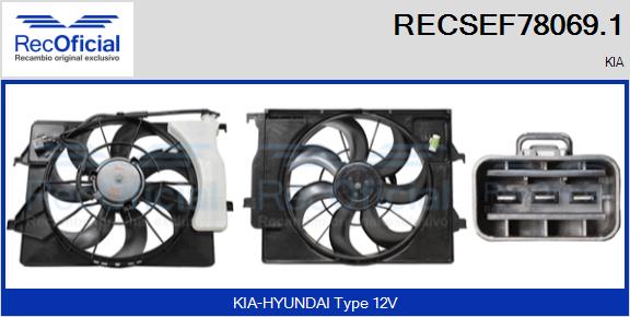 RECSEF78069.1