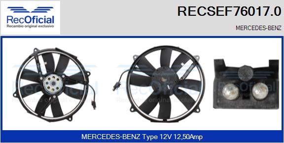 RECSEF76017.0