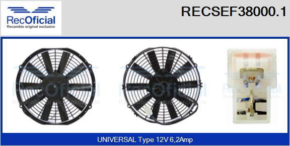 RECSEF38000.1