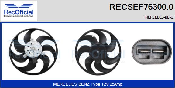 RECSEF76300.0