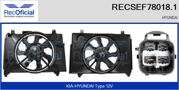 RECSEF78018.1
