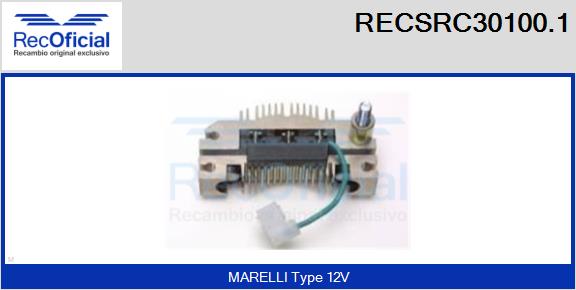 RECSRC30100.1